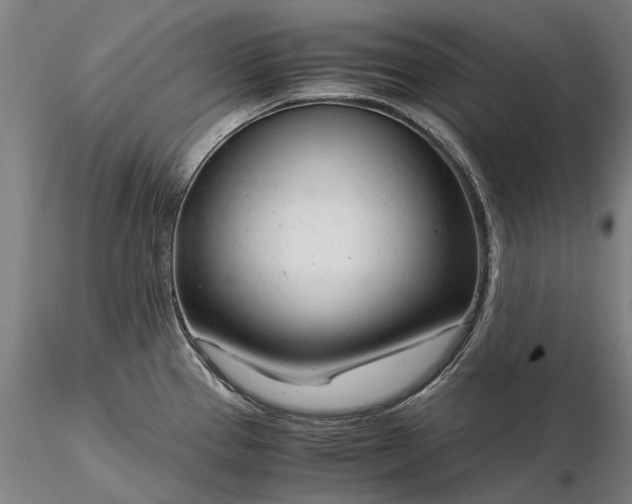 X0000116371337200912161429