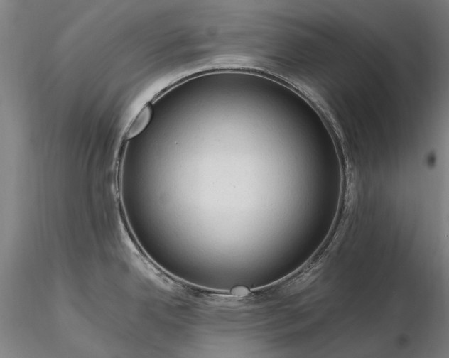 X0000116371342200912161429