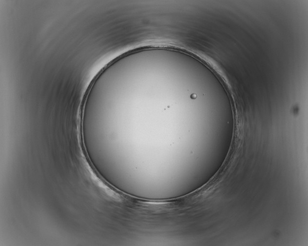 X0000116371343200912161429