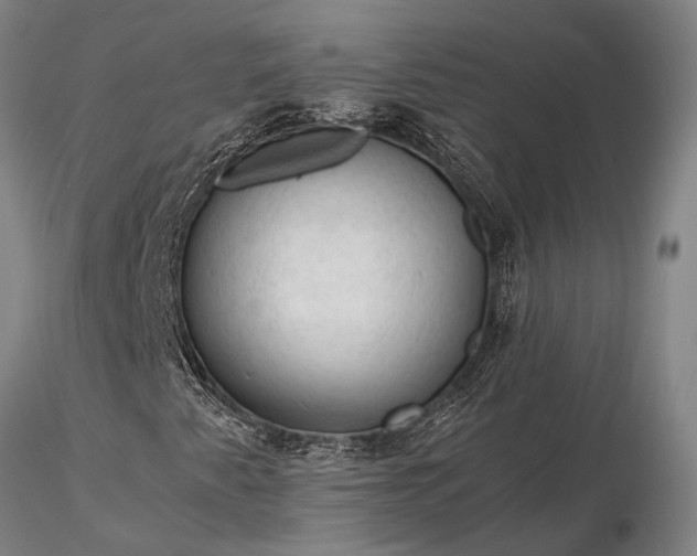 X0000116371345200912161429