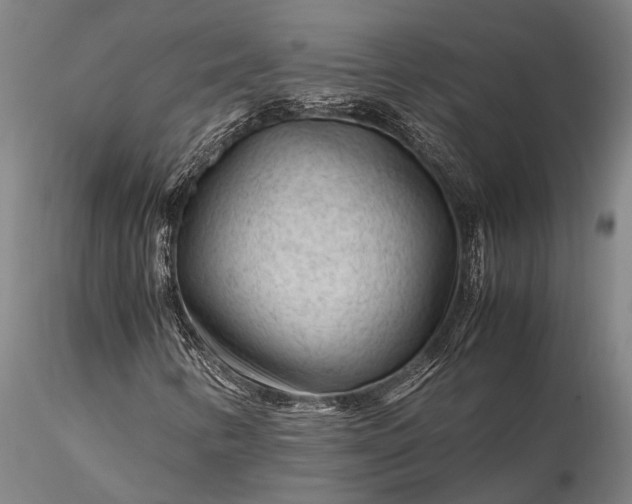 X0000116371346200912161429