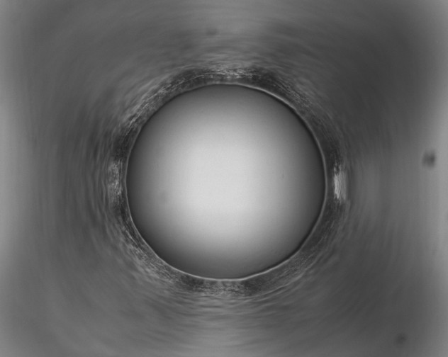 X0000116371347200912161429