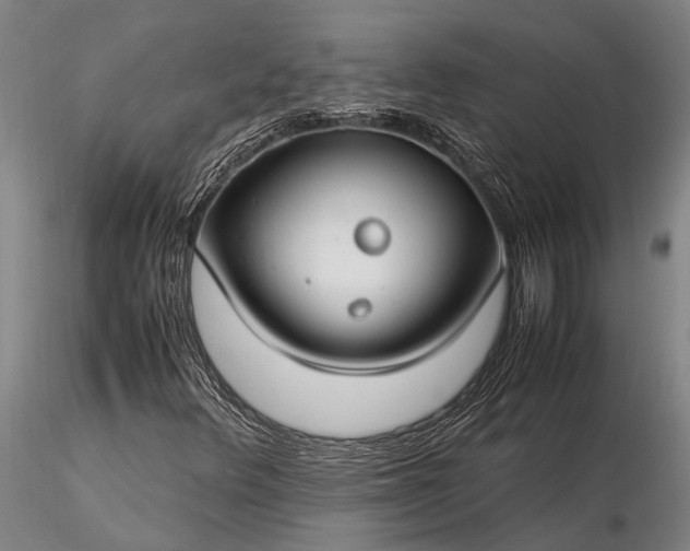 X0000116371348200912161429