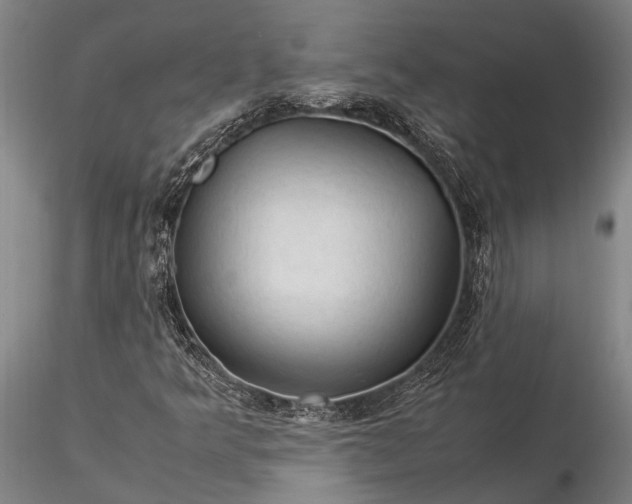 X0000116371349200912161429