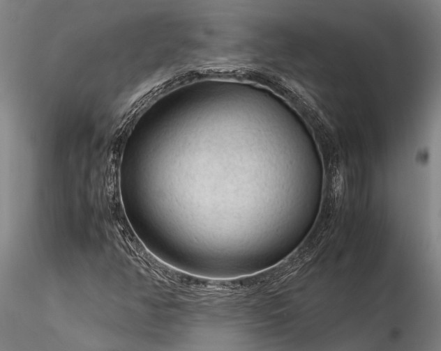 X0000116371350200912161429