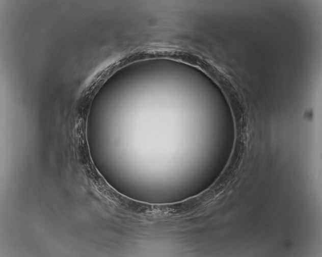 X0000116371351200912161429