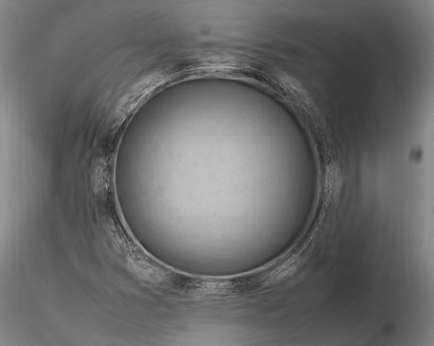 X0000116371353200912161429