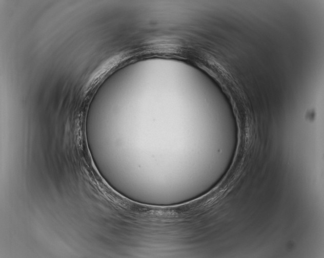 X0000116371354200912161429