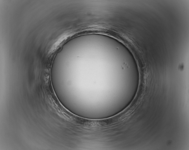 X0000116371355200912161429