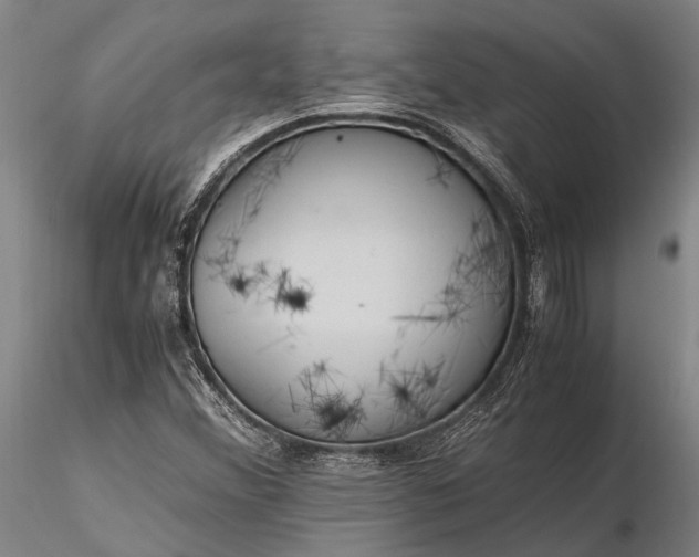 X0000116371356200912161429