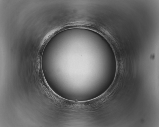 X0000116371358200912161429