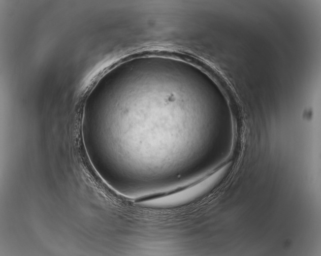 X0000116371359200912161429