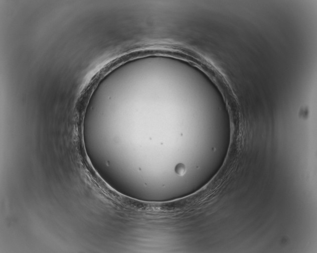 X0000116371360200912161429