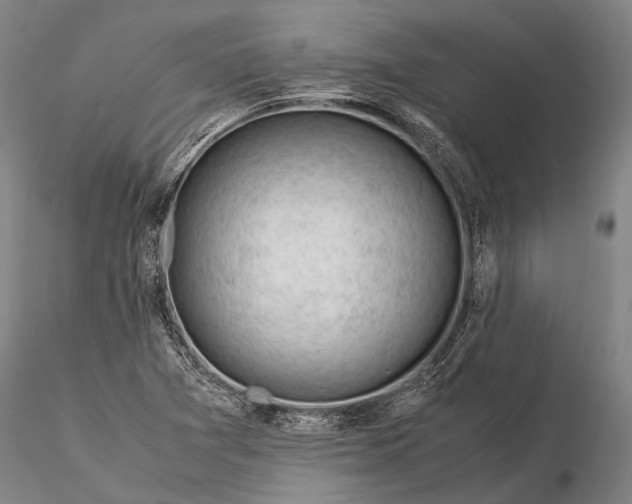 X0000116371361200912161429