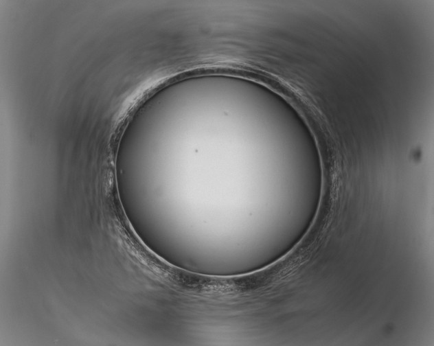 X0000116371363200912161429