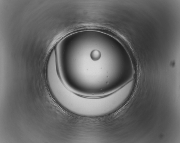 X0000116371365200912161428