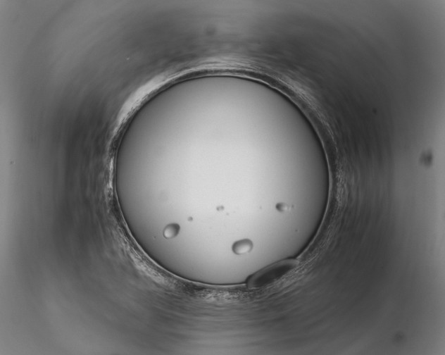 X0000116371366200912161428