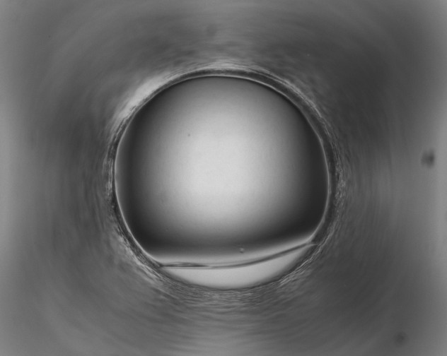 X0000116371367200912161428