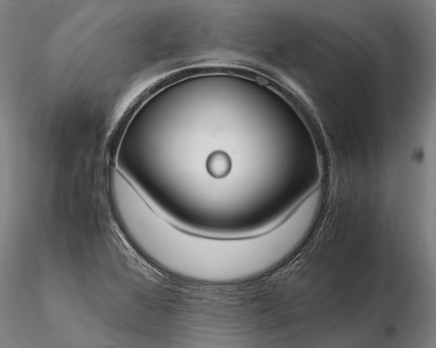 X0000116371368200912161428