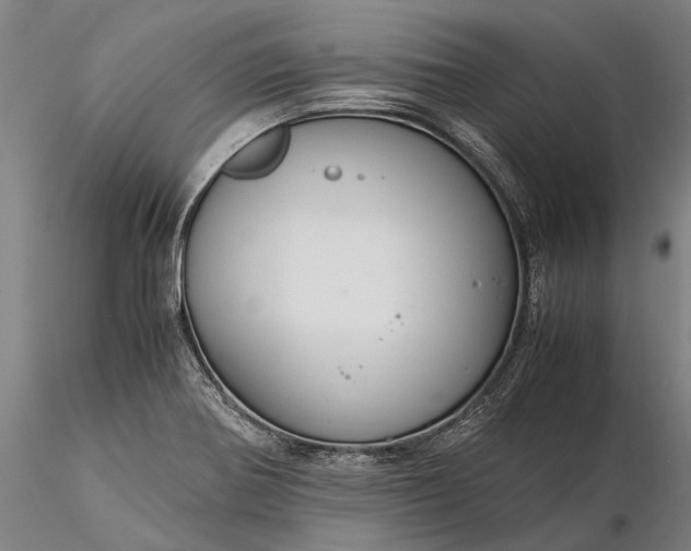 X0000116371370200912161428