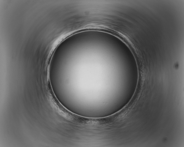 X0000116371371200912161428