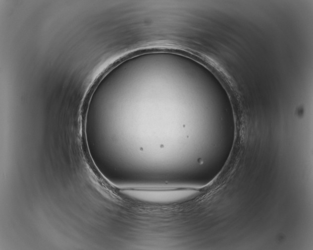 X0000116371372200912161428