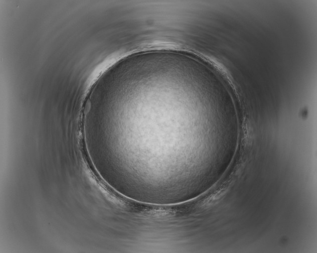 X0000116371373200912161428