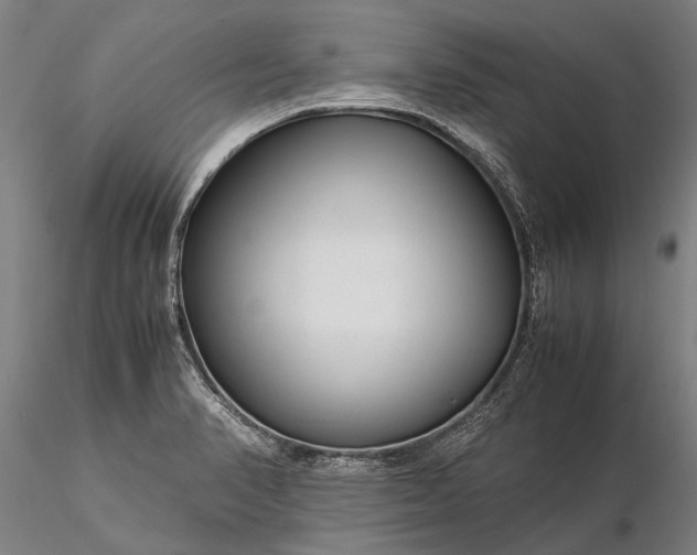 X0000116371374200912161428