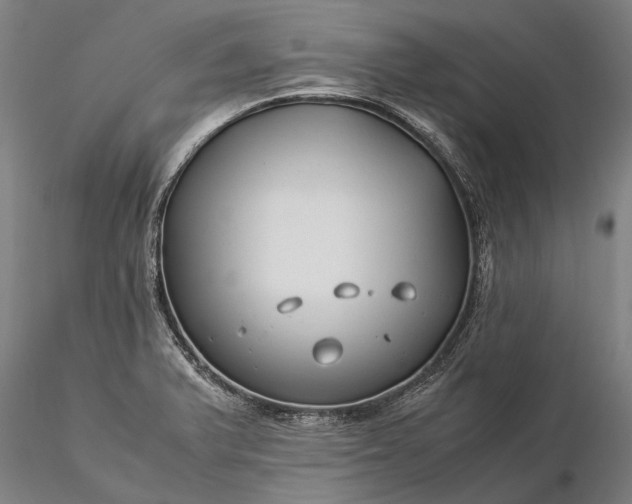 X0000116371375200912161428