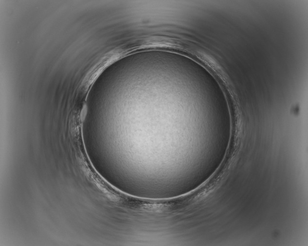 X0000116371377200912161428