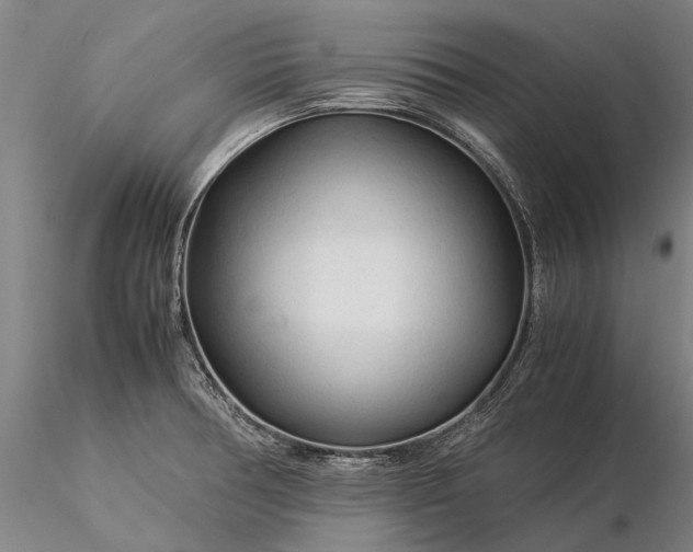 X0000116371378200912161428