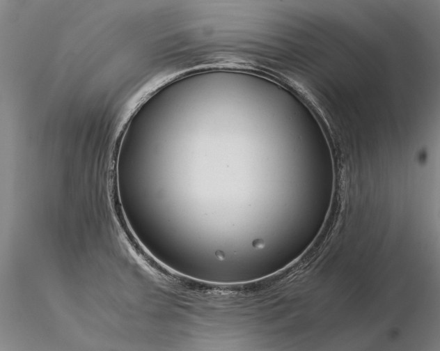 X0000116371379200912161428