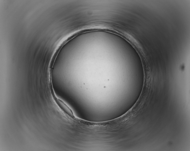 X0000116371380200912161428