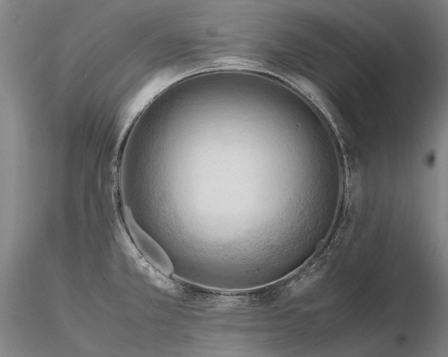 X0000116371381200912161428