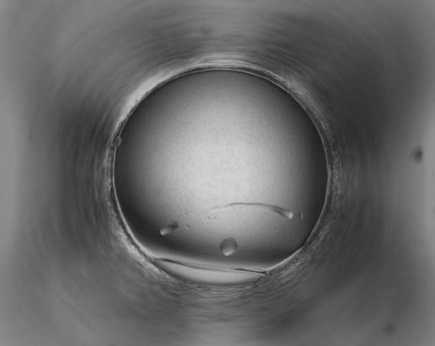 X0000116371382200912161428