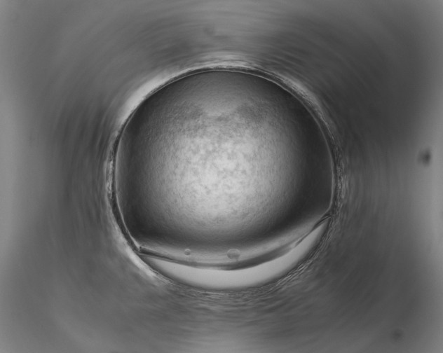 X0000116371383200912161428