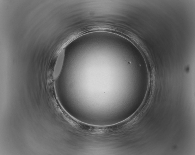 X0000116371385200912161428