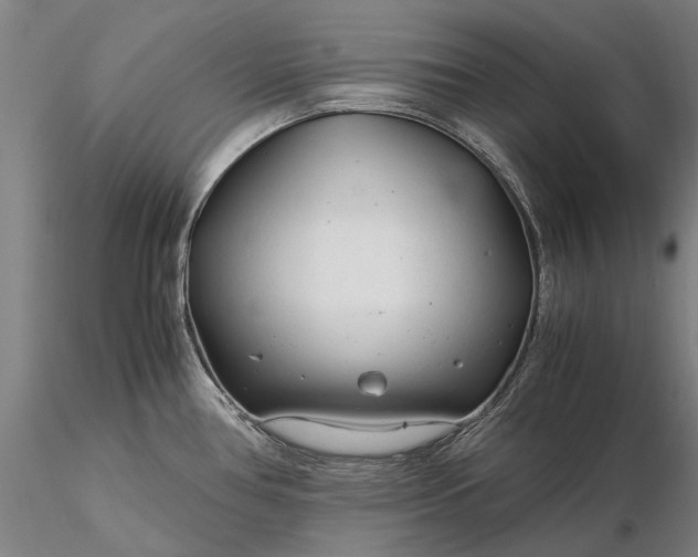 X0000116371386200912161428