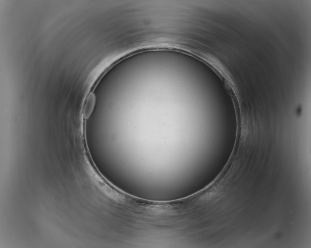 X0000116371388200912161428