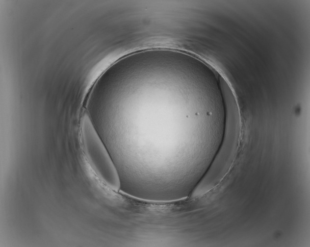 X0000116371389200912161428