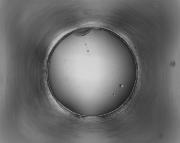 X0000116371392200912161428