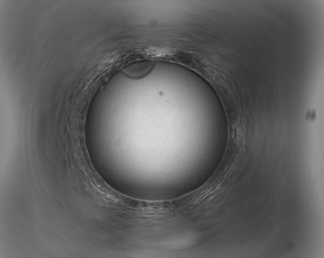 X0000116371393200912161427