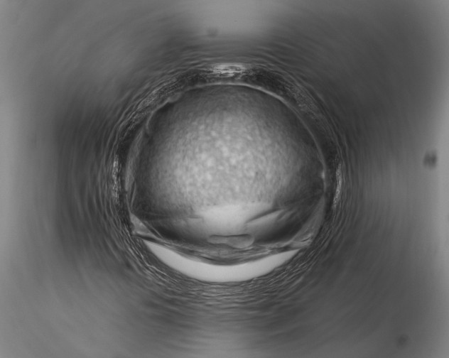 X0000116371394200912161427