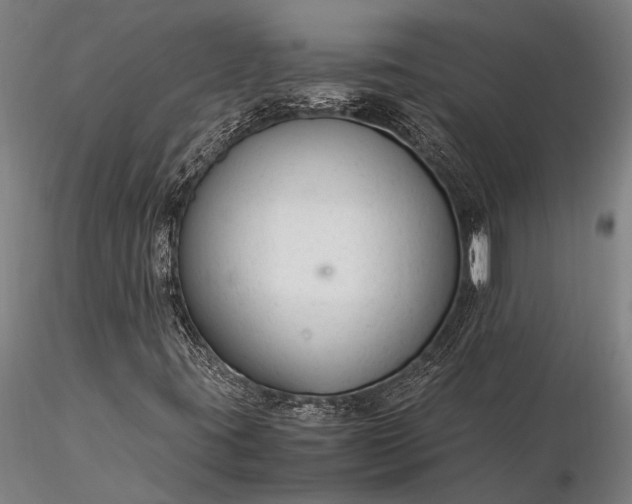 X0000116371395200912161427