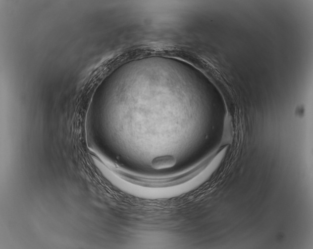 X0000116371398200912161428