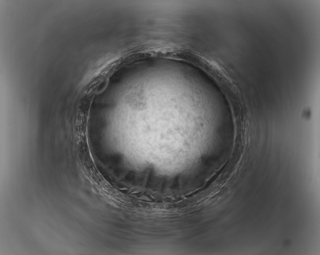 X0000116371399200912161428