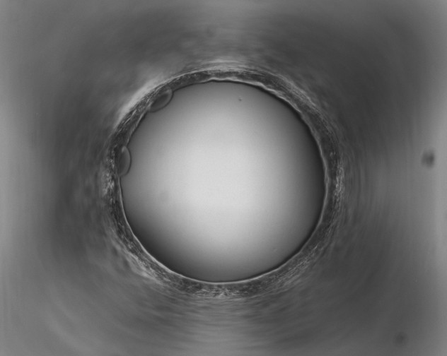 X0000116371400200912161428