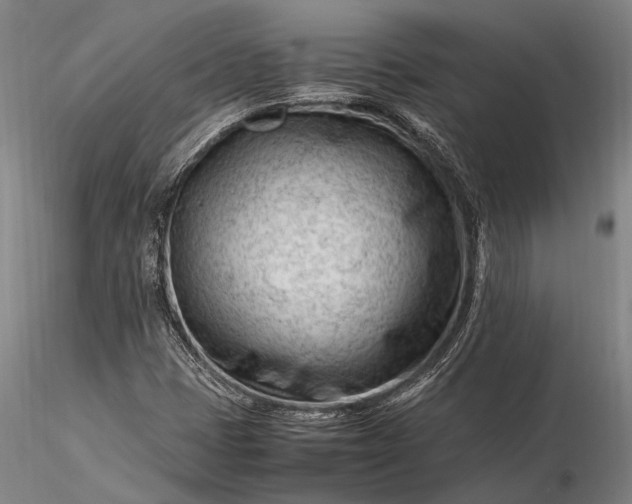 X0000116371401200912161428