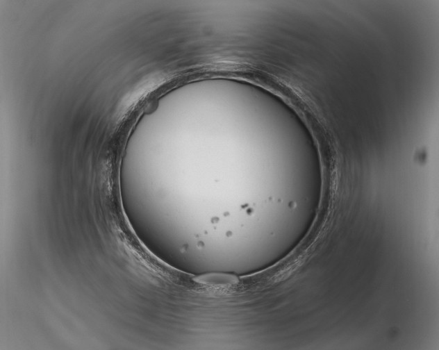 X0000116371402200912161428