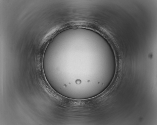 X0000116371403200912161428